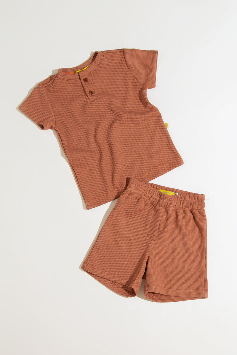 Conjunto Biscoito
