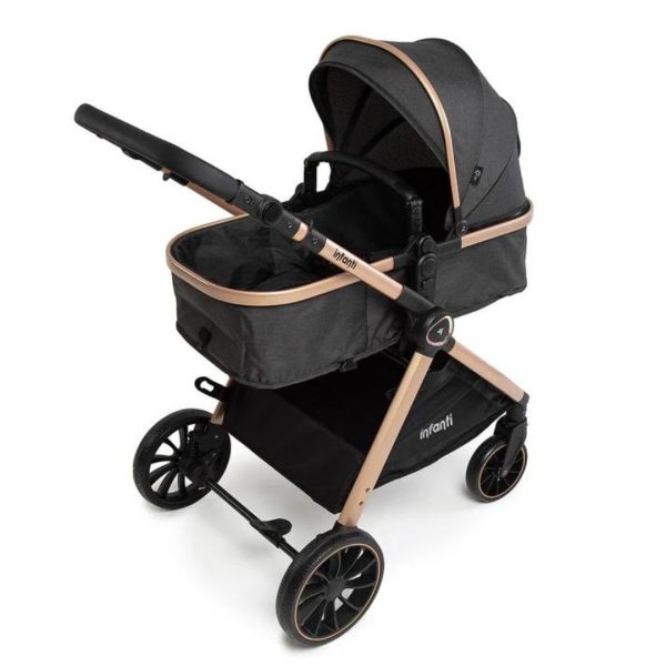 Carrinho de Passeio Moises com Bebê Conforto