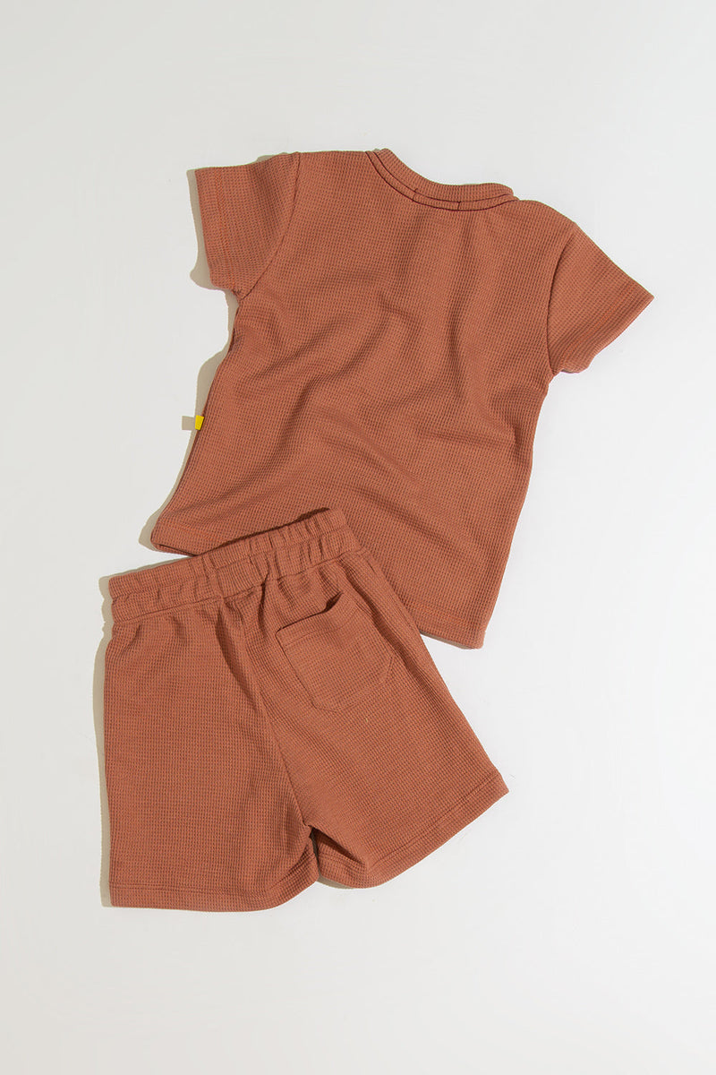Conjunto Biscoito
